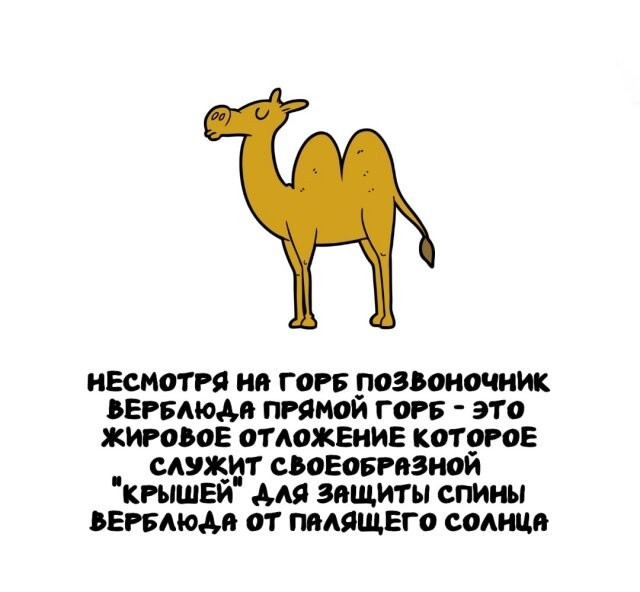 А вдруг ты не знал…