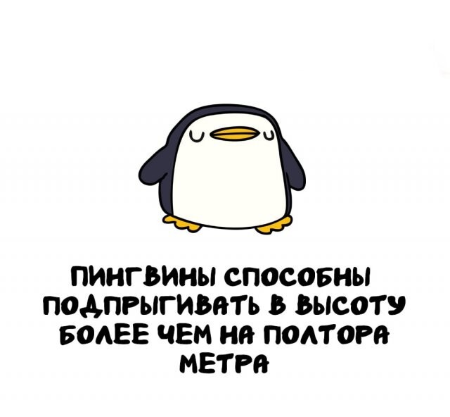 А вдруг ты не знал…