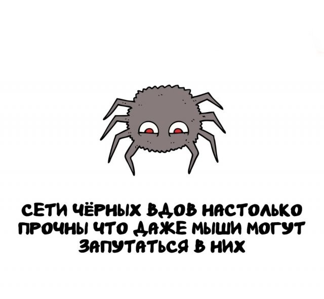 А вдруг ты не знал…