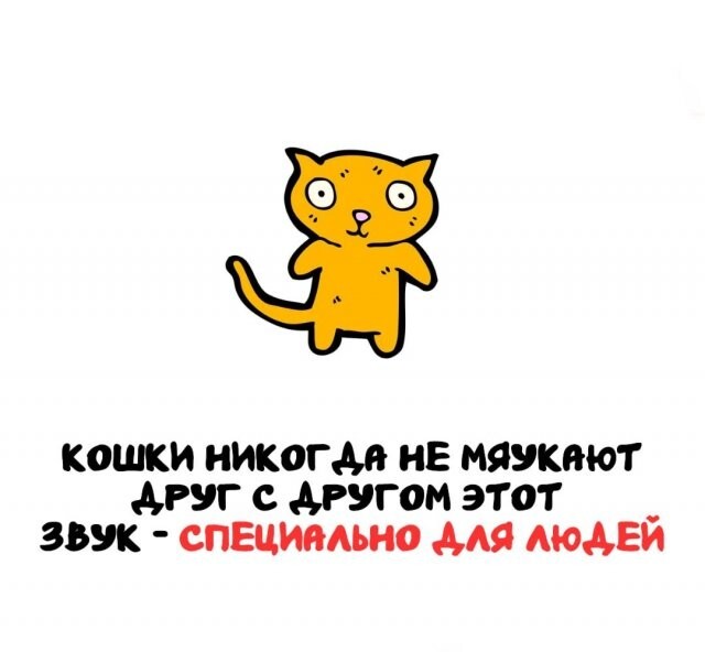 А вдруг ты не знал…