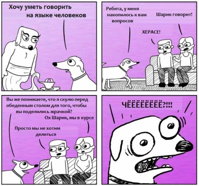 Не ищите здесь смысл. Здесь в основном маразм