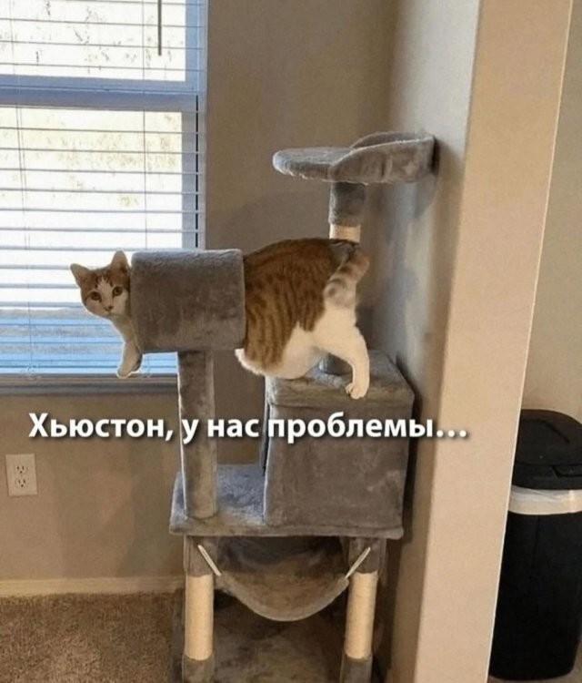 Не ищите здесь смысл. Здесь в основном маразм