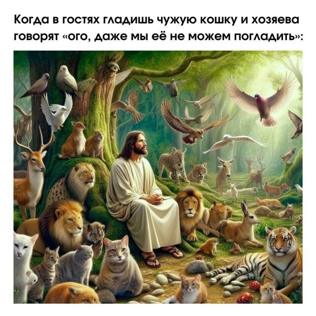 Не ищите здесь смысл. Здесь в основном маразм