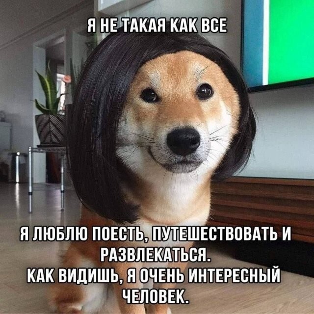 Не ищите здесь смысл. Здесь в основном маразм