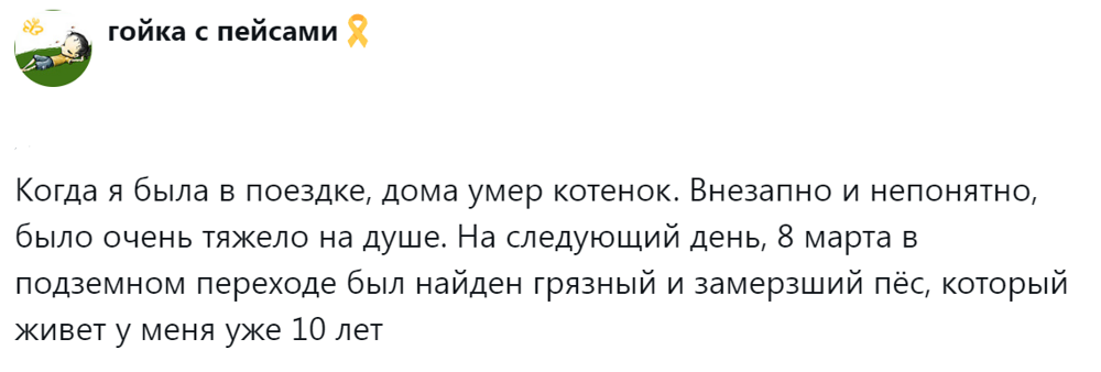 13. Договорённость пушистых душ