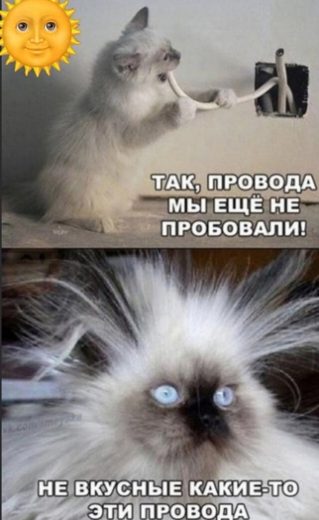 Большая тарелка улыбатора