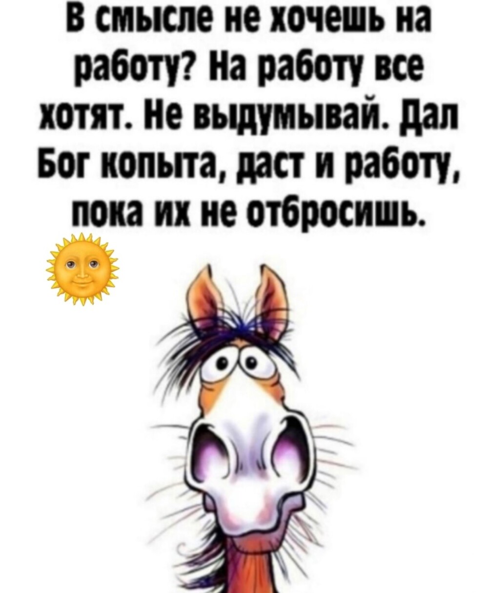 Большая тарелка улыбатора