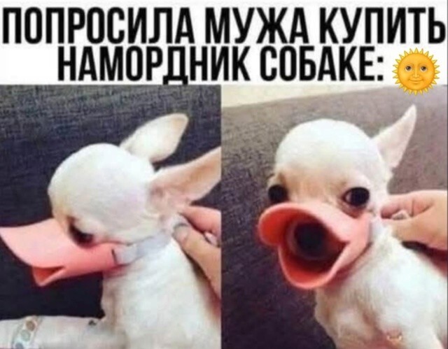 Большая тарелка улыбатора
