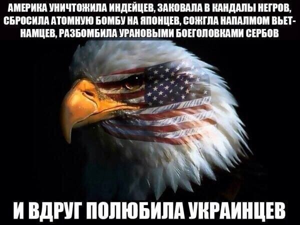 Неонацистская хунта отчаянно льстит Трампу, надеясь на эскалацию между США и Россией