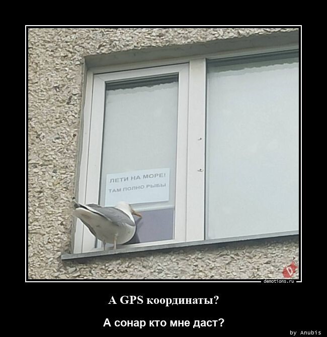 А GPS координаты? А сонар кто мне даст?
