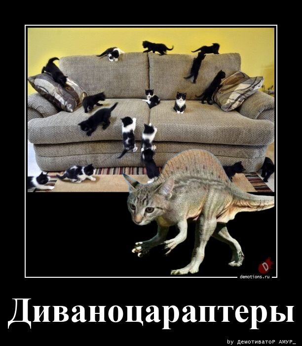 Диваноцараптеры