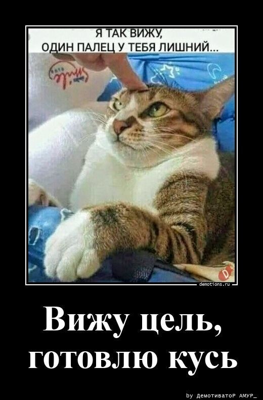 Вижу цель, готовлю кусь