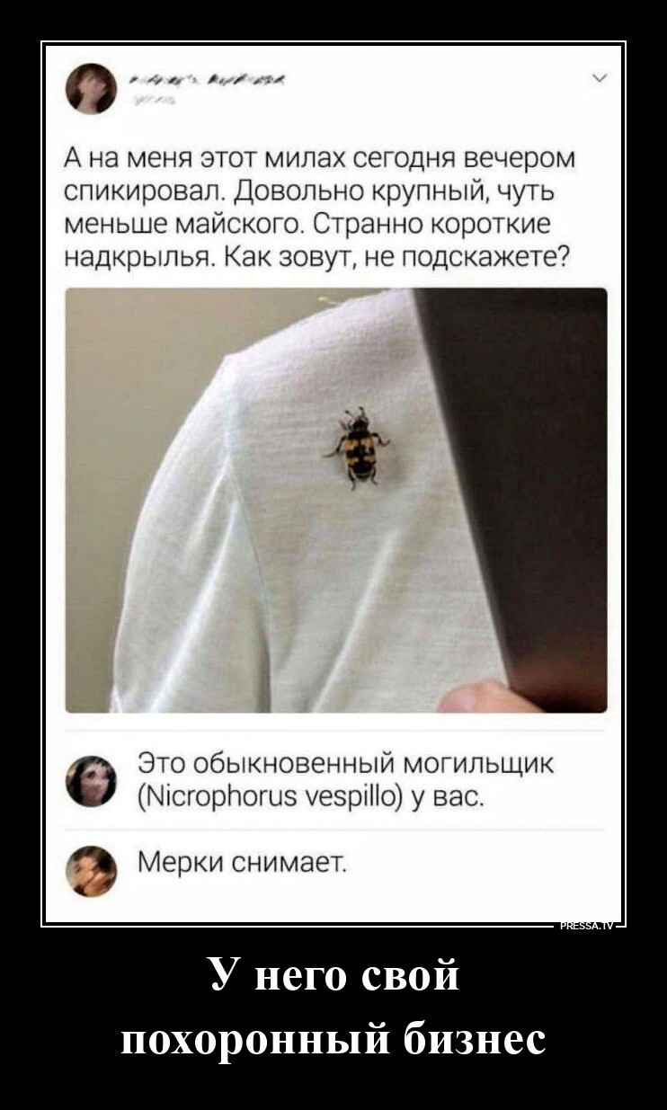 У него свой похоронный бищнес