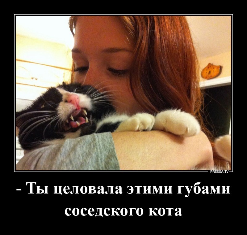 Ты целовала этими губами соседского кота