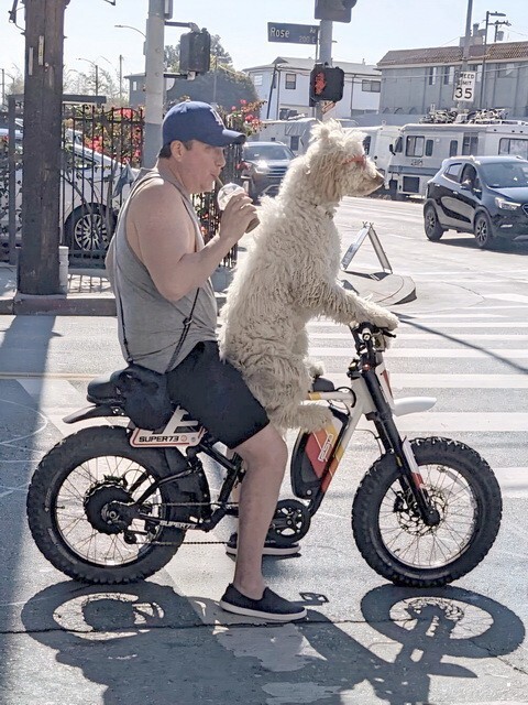 ФотоВсячина