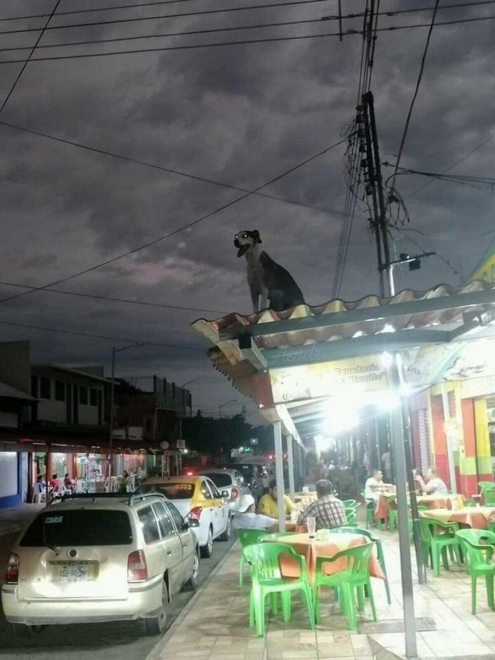 На общую тему 
