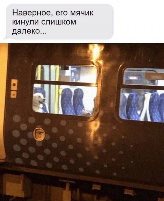 Скрины из соцсетей