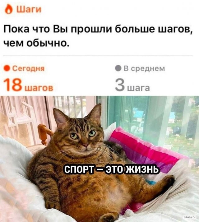Скрины из соцсетей
