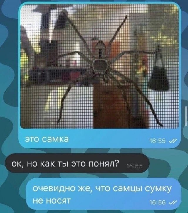 Скрины из соцсетей