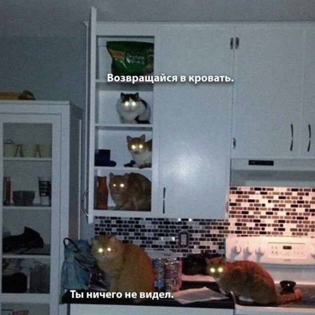 Скрины из соцсетей