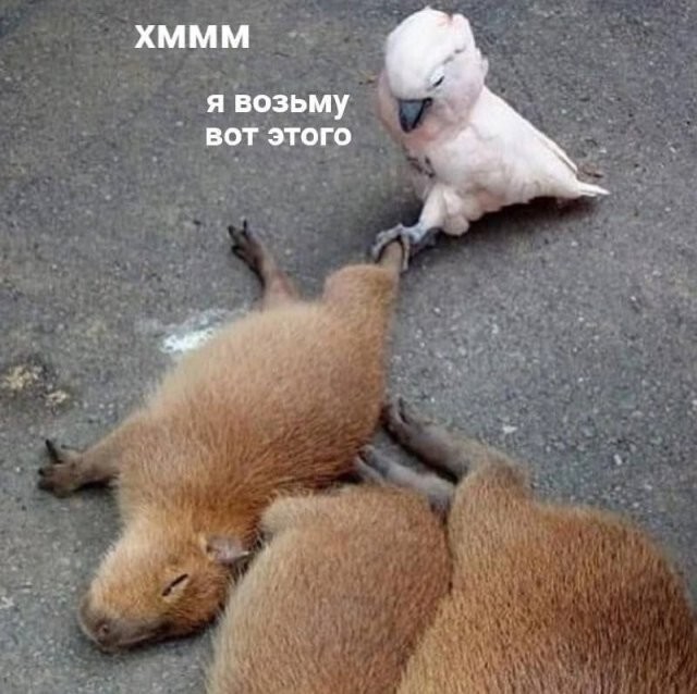 Скрины из соцсетей