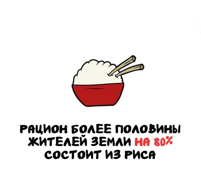 А вдруг ты не знал…
