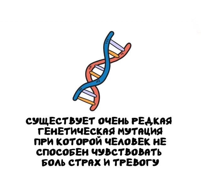 А вдруг ты не знал…