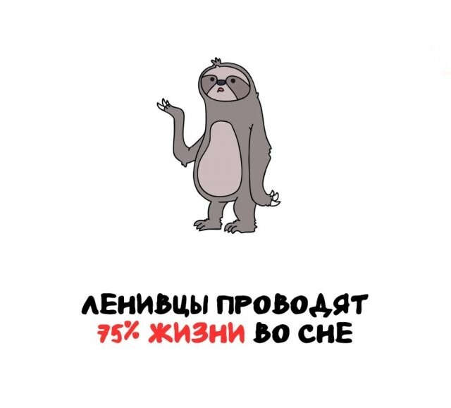 А вдруг ты не знал…