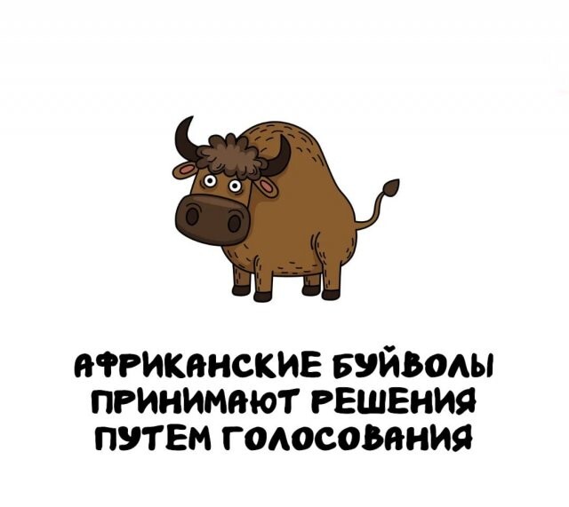 А вдруг ты не знал…