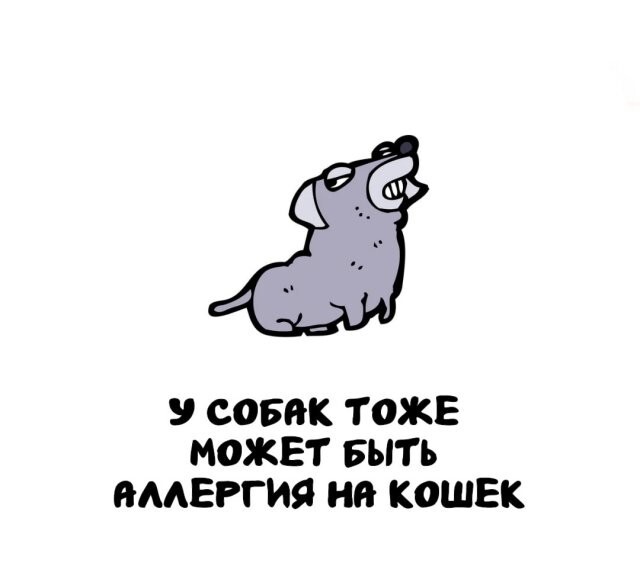 А вдруг ты не знал…