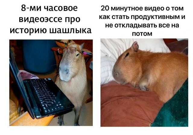 Не ищите здесь смысл. Здесь в основном маразм
