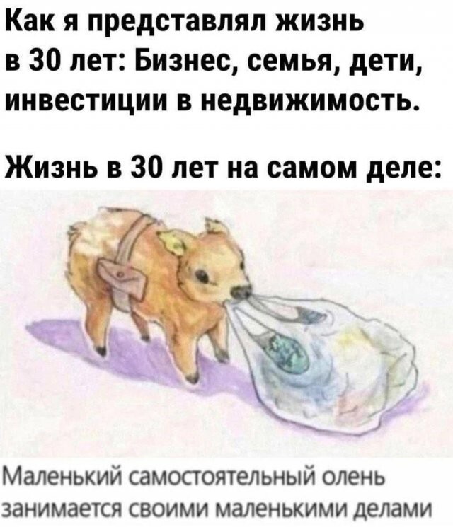 Не ищите здесь смысл. Здесь в основном маразм