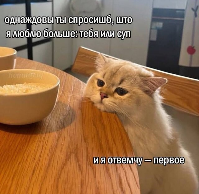 Не ищите здесь смысл. Здесь в основном маразм