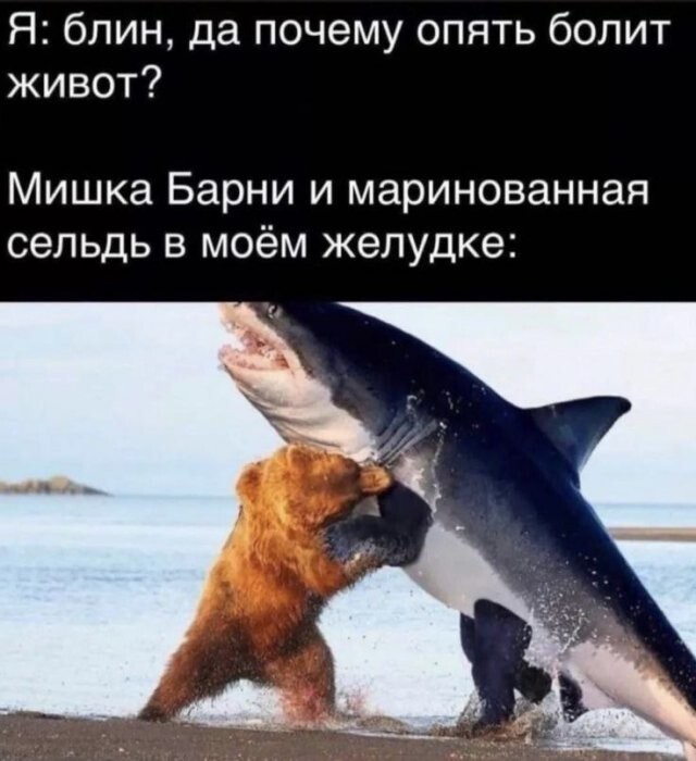 Не ищите здесь смысл. Здесь в основном маразм