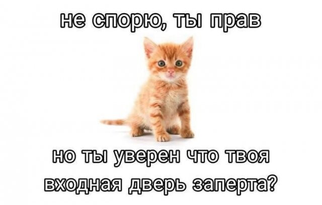 Не ищите здесь смысл. Здесь в основном маразм