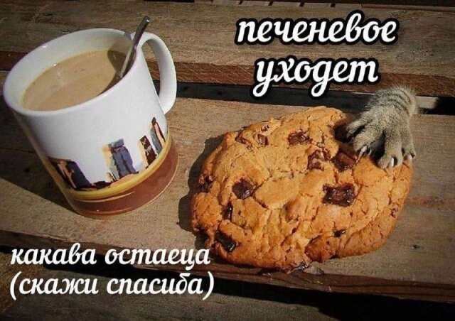 Не ищите здесь смысл. Здесь в основном маразм