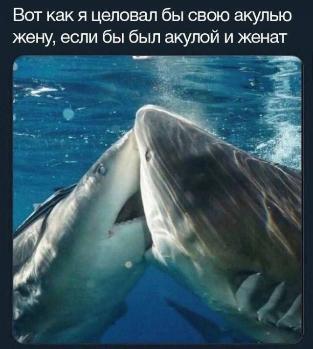 Не ищите здесь смысл. Здесь в основном маразм
