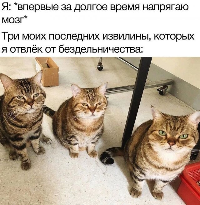 Не ищите здесь смысл. Здесь в основном маразм