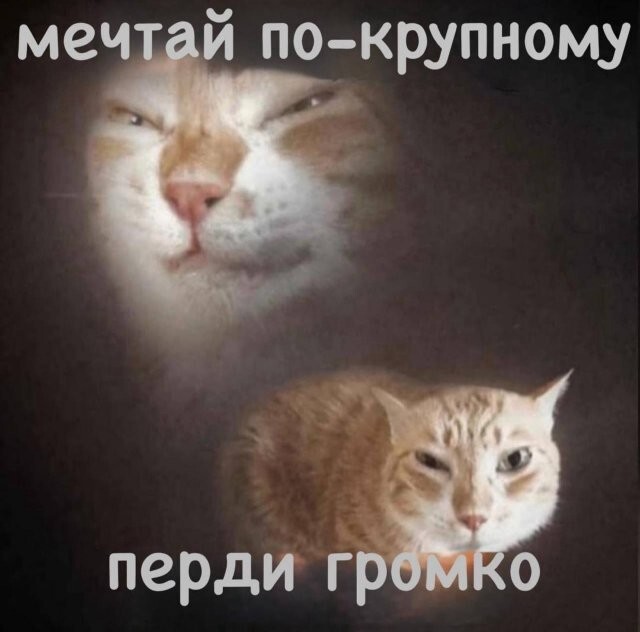 Не ищите здесь смысл. Здесь в основном маразм