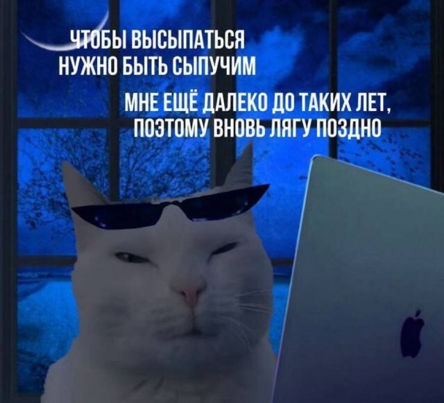 Не ищите здесь смысл. Здесь в основном маразм