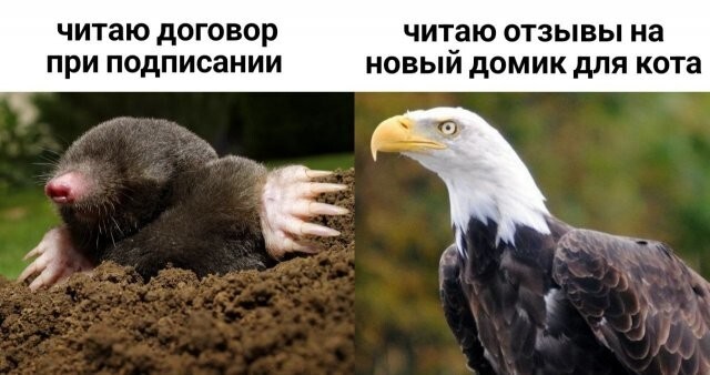 Не ищите здесь смысл. Здесь в основном маразм