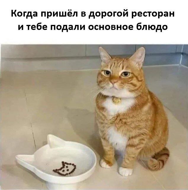 Не ищите здесь смысл. Здесь в основном маразм