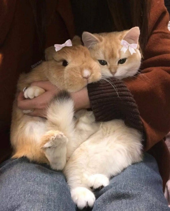 Всё вразнобой 