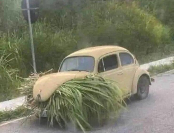 Всё вразнобой 