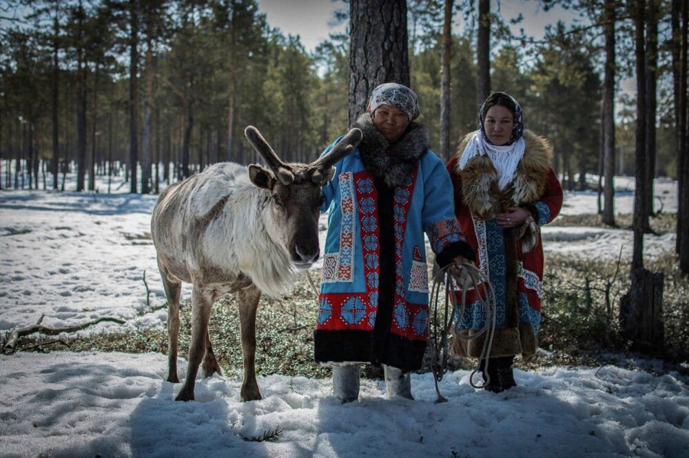 Манси