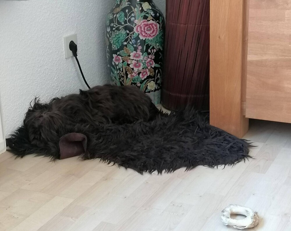 На общую тему 
