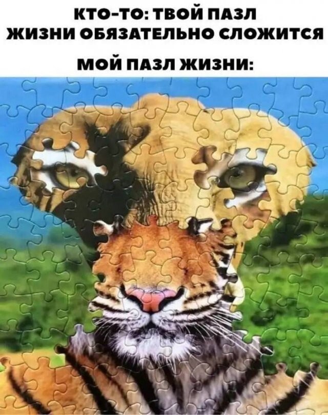 Скрины из соцсетей