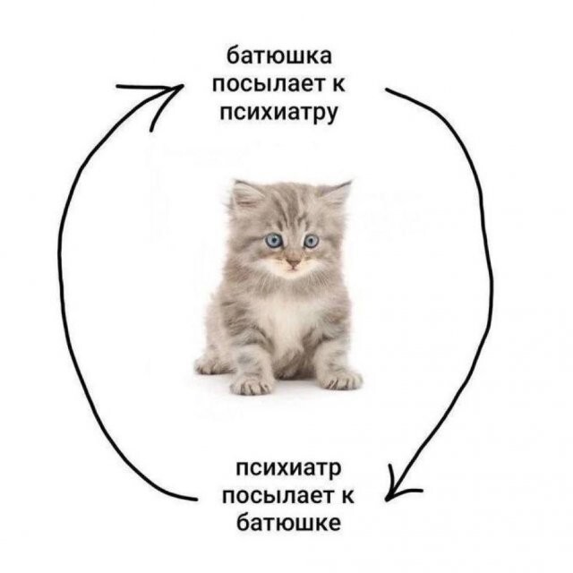Скрины из соцсетей