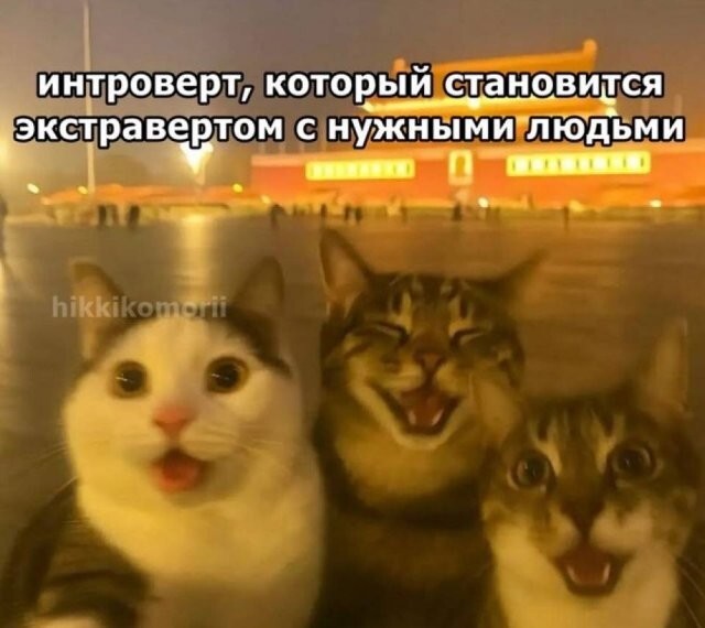 Скрины из соцсетей
