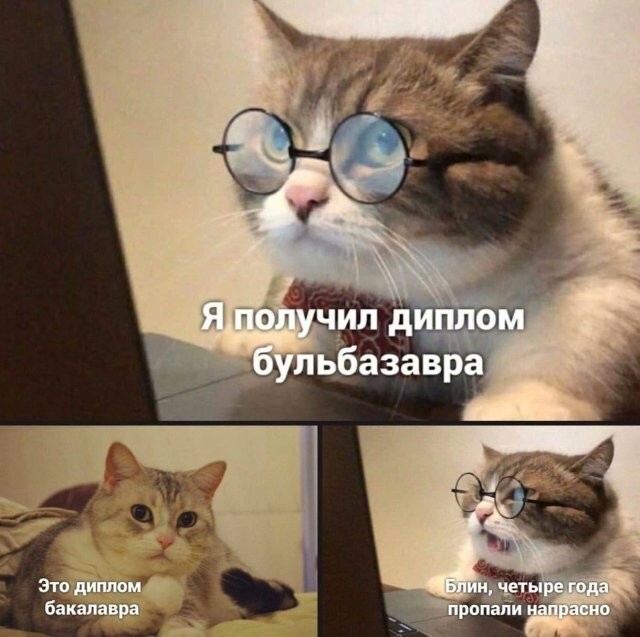Скрины из соцсетей